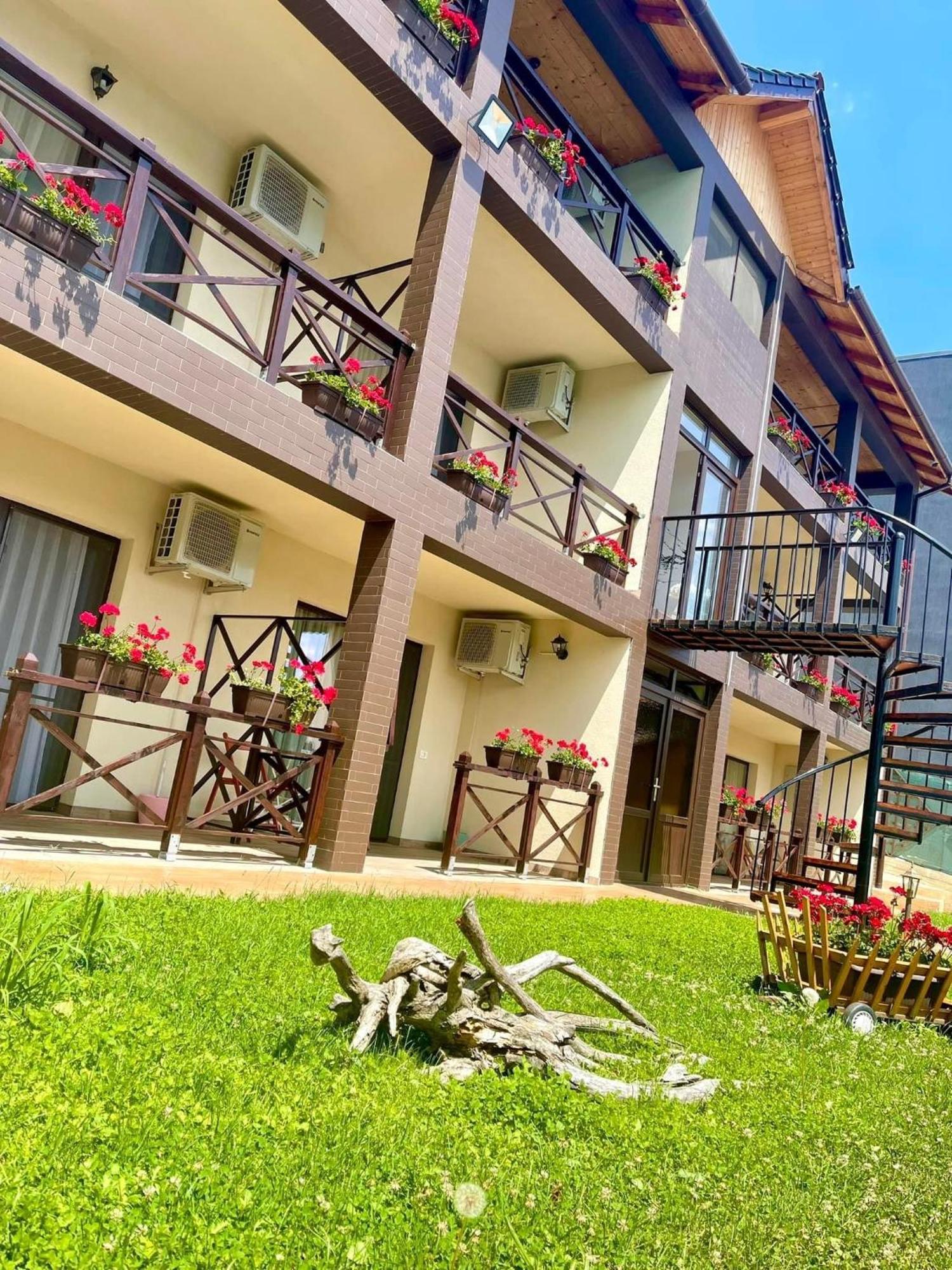 Mustaciosul Dunarii Hotel Ieşelniţa Екстериор снимка